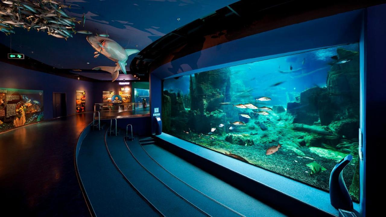 Crowne Plaza Florya Istanbul By Ihg Hotel Exterior foto The 1.3 million gallon open ocean exhibit